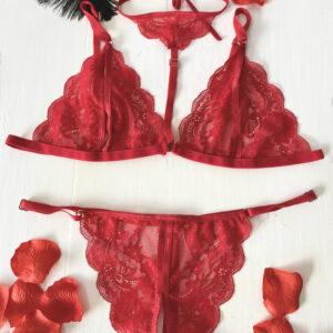 Conjunto Anabella Corpiño y Colaless Abierto - Rutero (art 2030) Talle 85 al 120: imagen 3