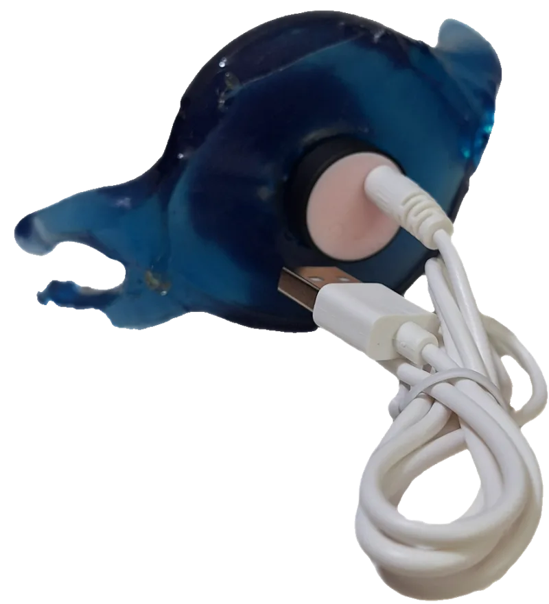 Vibrador Aladino Vaginal